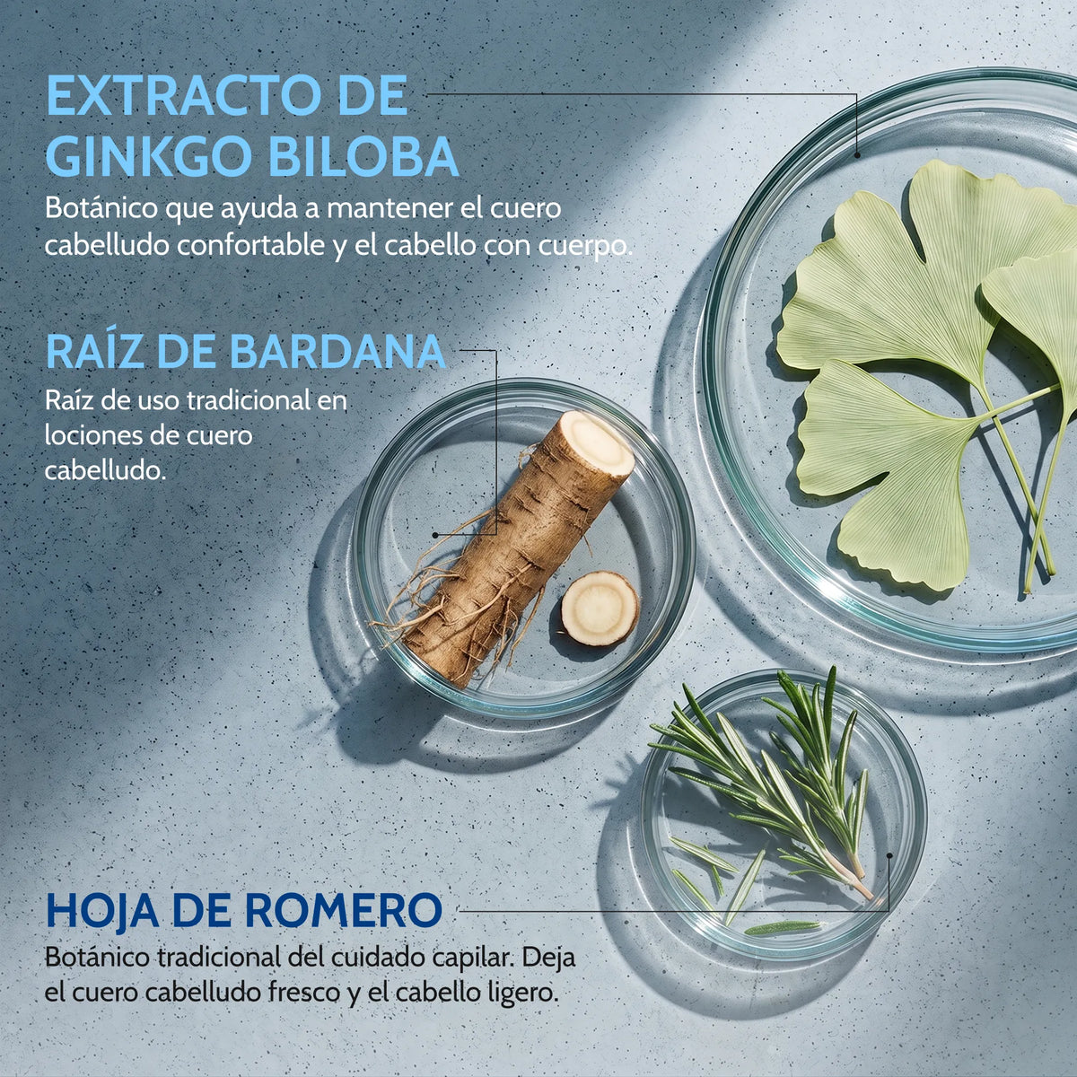 TCR Multivitamin Shampoo